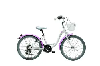 Maxim MJ 4.1 20" 