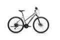 rower_unibike_flashlds_gray.jpg