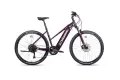 rower_elektryczny_unibike_falcon_ldsb.jpg