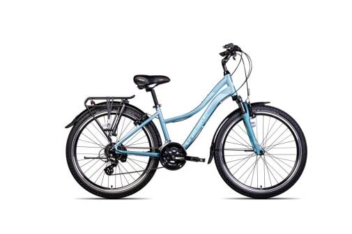 rower_unibike_emotion26_niebieskoszary.jpg