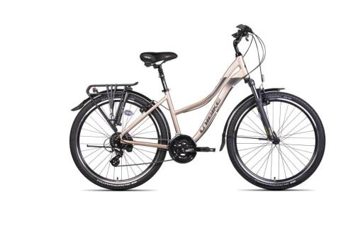 rower_unibike_emotion275t.jpg