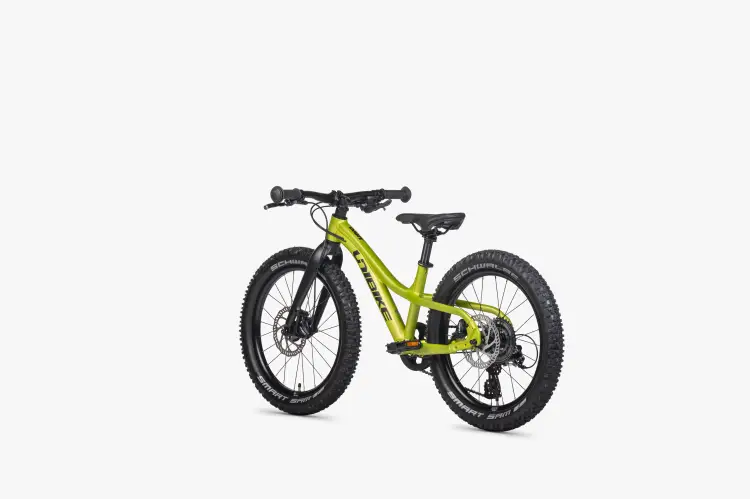 dart_zielony_0005_6.jpg